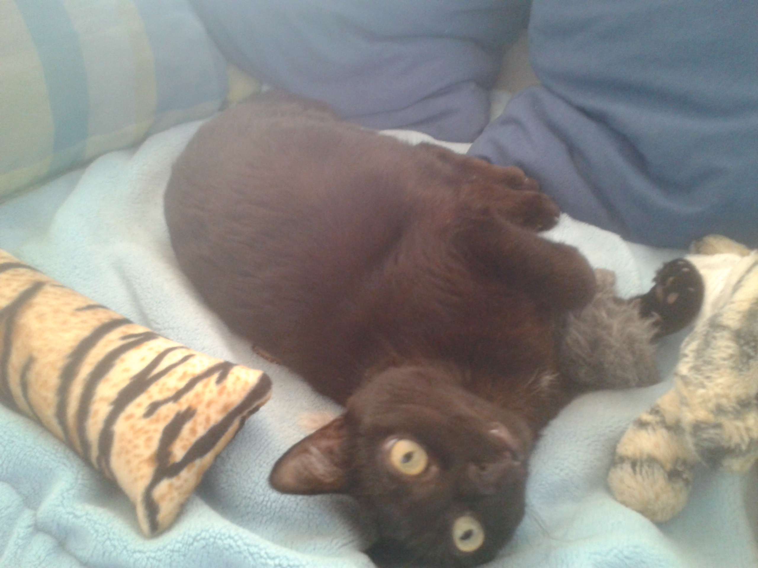 2018-05-03 15.07.02.jpg